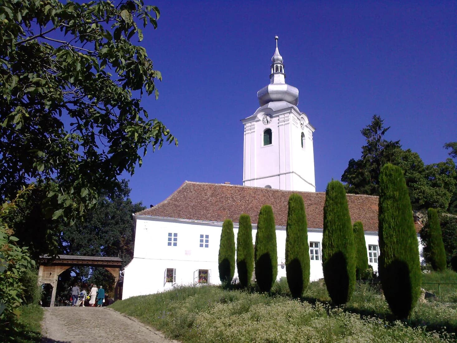 Biorezonanta Covasna