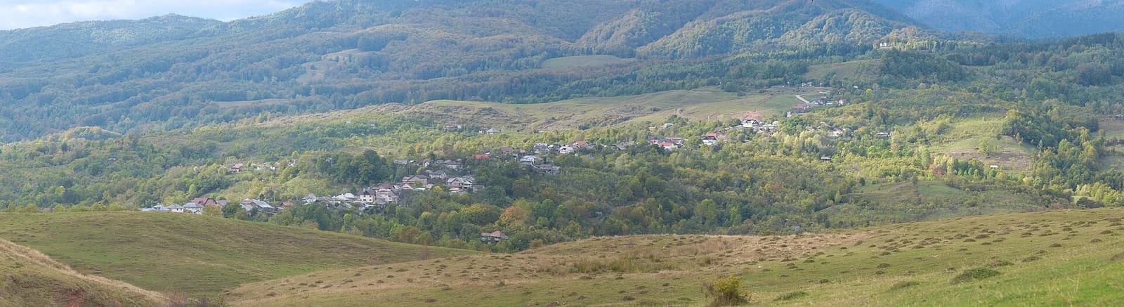 Biorezonanta Dâmbovița